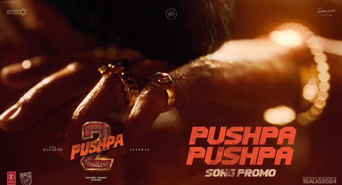 Pushpa Pushpa Song :పుష్ప‌2 ఫ‌స్ట్ సాంగ్ అప్‌డేట్ వ‌చ్చేసింది.. ఇక ఫ్యాన్స్‌కి పూన‌కాలే...!