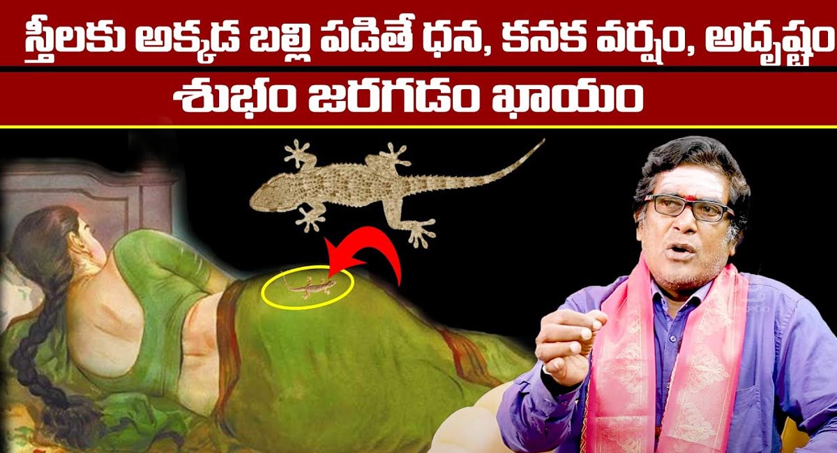 Womens : స్త్రీలకు అక్కడ బల్లి పడితే విప‌రీత‌మైన‌ ధన ప్రాప్తి...!