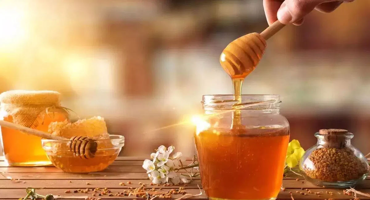 Honey Water : ఉదయాన్నే తేనె నీల్లు తాగితే ఎన్ని లాభాలో తెలుసా..?