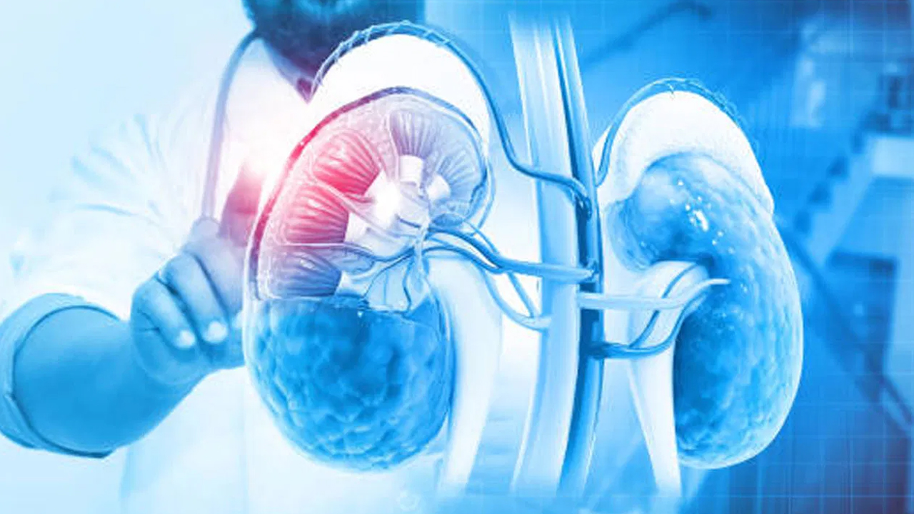 Kidney : మీ కిడ్నీలను కాపాడుకోవాలంటే ఈ 5 పదార్థాలను కచ్చితంగా తీసుకోండి... లేకపోతే అంతే...!