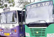 AP Free Bus : ఏపీ ప్రజలకు గుడ్ న్యూస్.. మహిళలతో పాటు వాళ్లకు కూడా ఉచిత ప్రయాణం ap free bus travel to health pensioners also